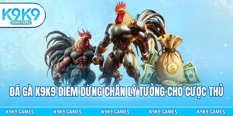 Đá gà K9K9 điểm dừng chân lý tưởng cho cược thủ